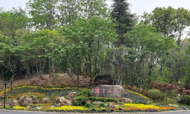 紫金山莊必打卡點