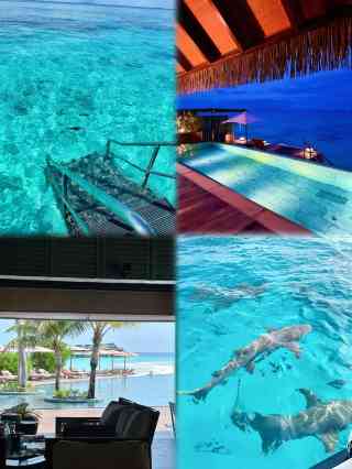 モルディブのおすすめ完全ガイド2025年（10月更新）| Trip Moments