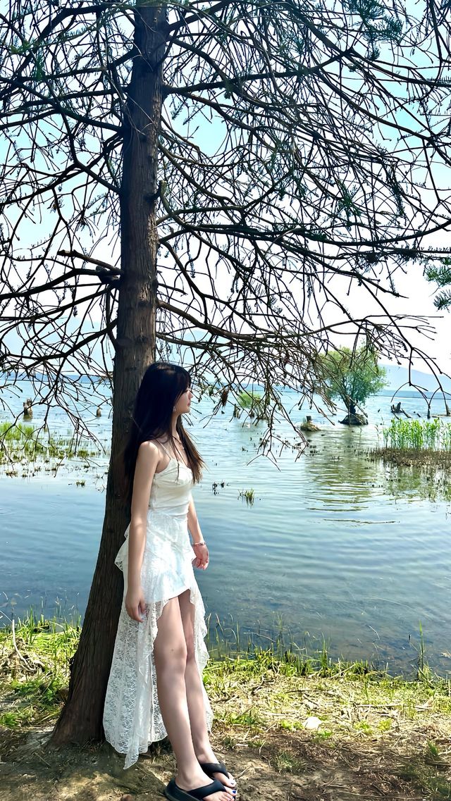 邊個明啊！喺洱海逗留咗3日，我居然唔想走—— 不是嗰種被網紅濾鏡