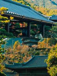 韶關嘅6月，藏住廣東最治癒嘅夏天，3日2夜全攻略