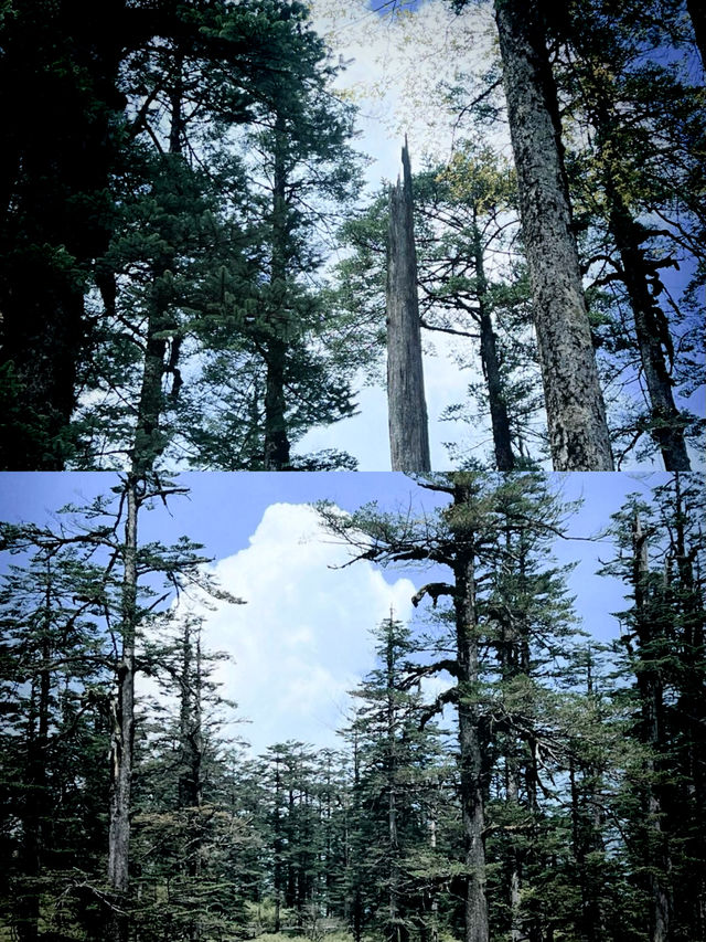 瓦屋山真係靚到好似仙境咁！