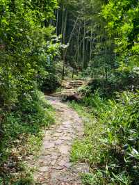 寧波秘境虹嶺古道·綠野仙蹤般的溯溪天堂