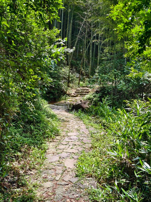 寧波秘境虹嶺古道·綠野仙蹤般的溯溪天堂