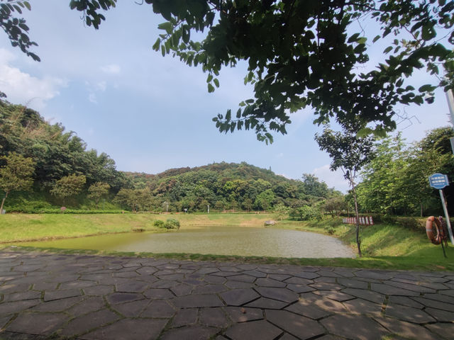 光影之約，解鎖深圳西岸秘境