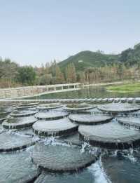 避暑攻略！杭州25℃玩水秘境，不搶真的會後悔