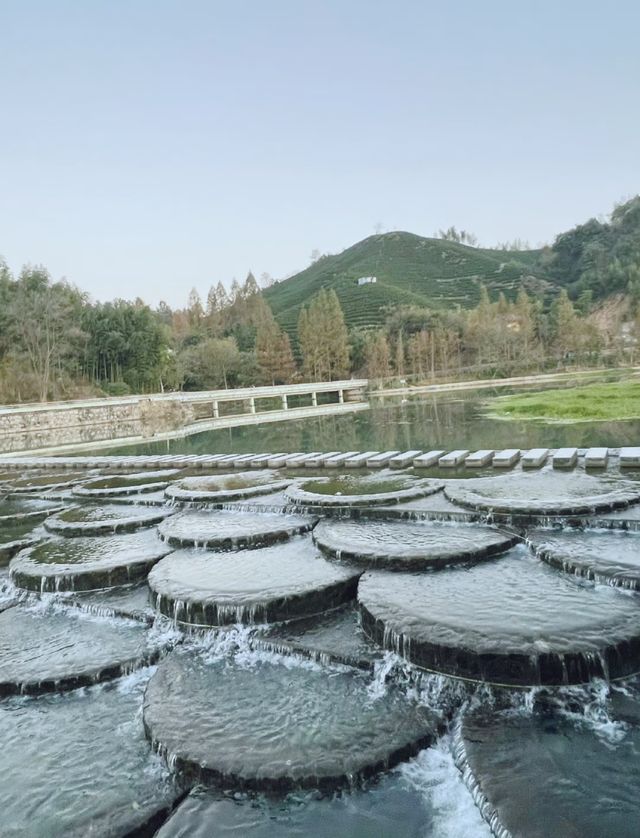 避暑攻略！杭州25℃玩水秘境，不搶真的會後悔