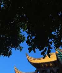 岳陽呢個文化名城，除咗洞庭湖同岳陽樓，酒店選擇都一樣可以俾到驚喜你！今次入住咗美宿悅致酒店（岳陽樓區火車站店