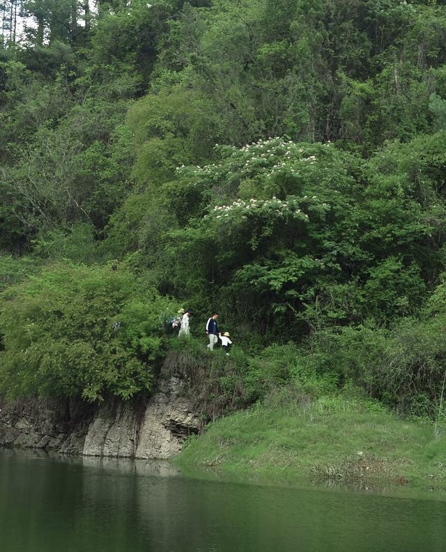 與清涼接軌嘅綠野仙蹤