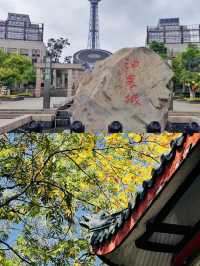 株洲方特主題樂園嘅奇幻之旅，隱藏住咩未知嘅驚喜？