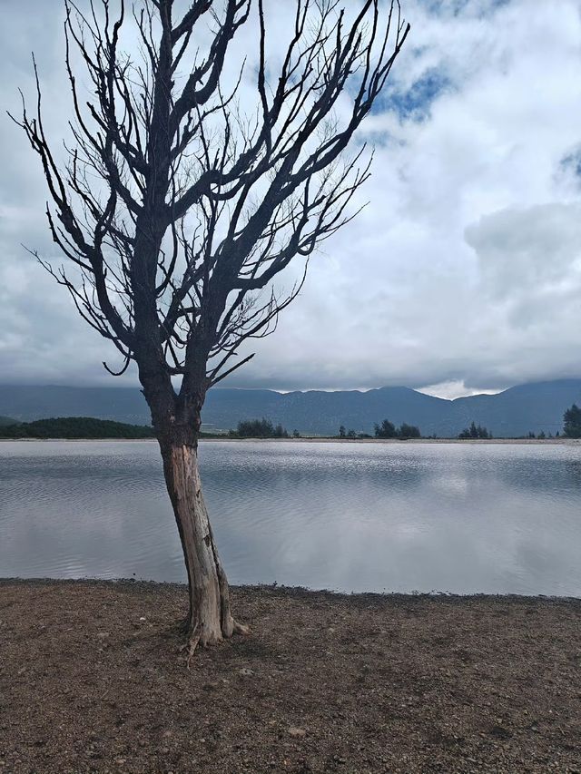 玉龍雪山下的夢幻之境