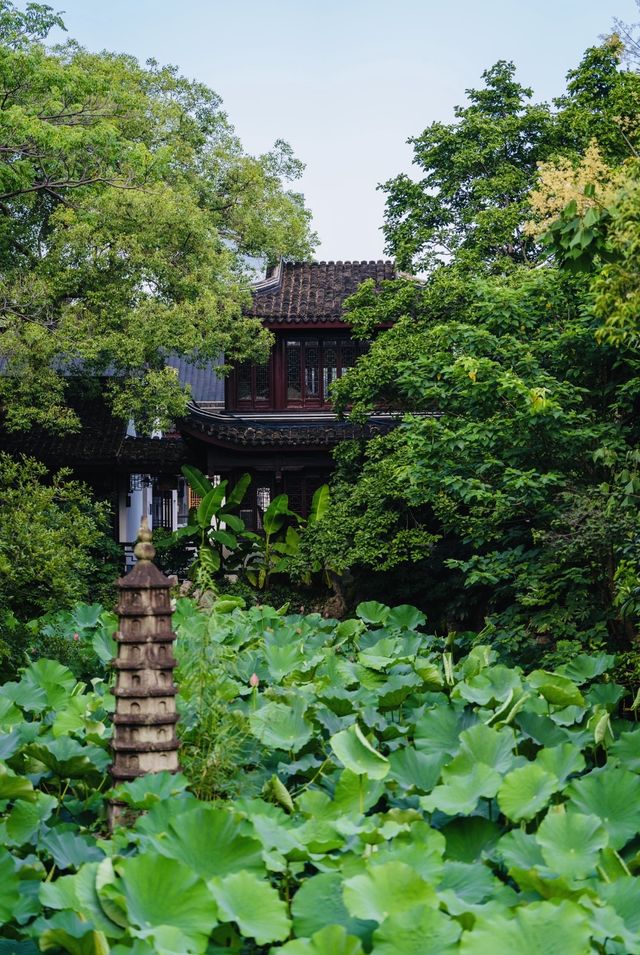 誤入森林秘境/盛夏時節嘅古華園
