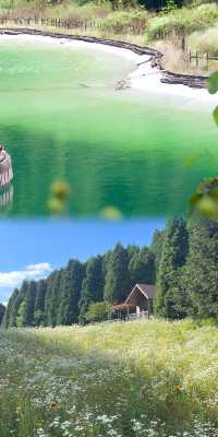 重慶20℃嘅森林冷氣房！