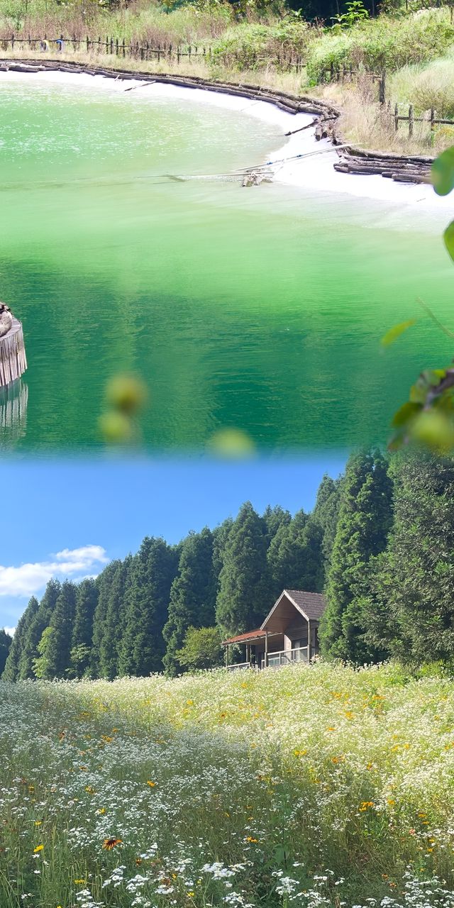 重慶20℃嘅森林冷氣房！