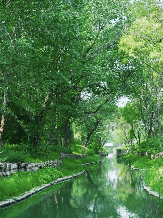 喺北京一個唔小心跌入初夏嘅綠野仙蹤