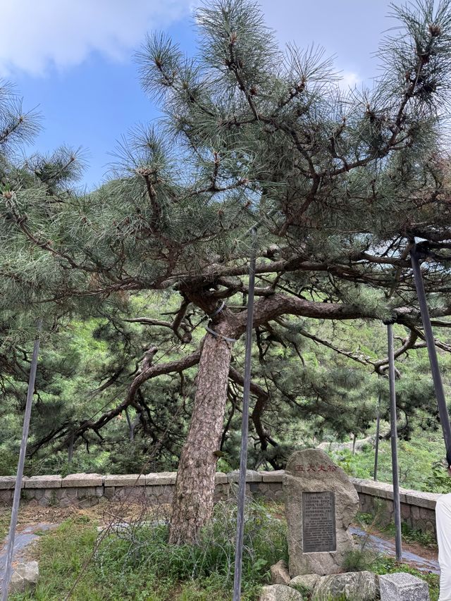 泰山｜6小時搞掂上山落山！呢條路線親測爽到爆～