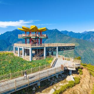 A Tea-Scented Journey in Motuo