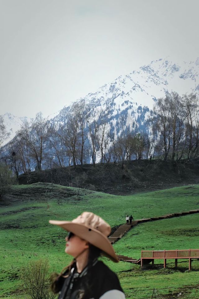 闖入恰西：喺雪山森林間，遇見最治癒嘅夏天