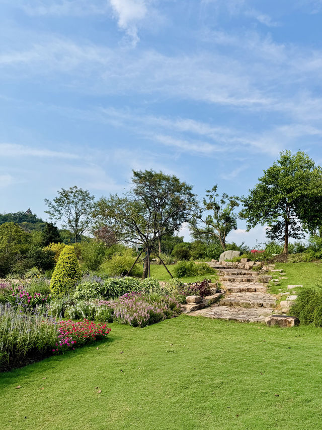 上海辰山植物園:花草編織的調色盤 上海辰山植物園:花草編織的調色盤