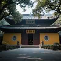 歡迎來到「靈隱寺」