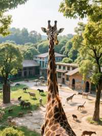 红山动物园新区·必打卡亮點 沉浸式動物展區