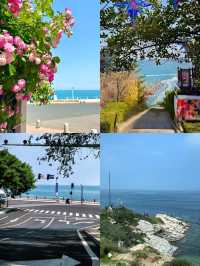 九月煙台終極攻略 | 秋日海風、粉黛花海與海鮮盛宴