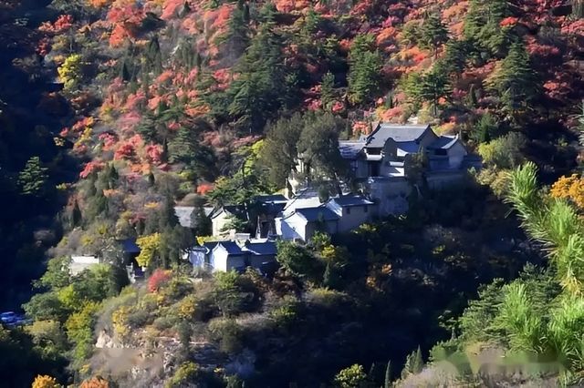 邊個識呀！陽泉藏咗座「神仙小山」，影相出片率100%，人均50玩到爽✨
 
各位！今日掘到寶喇！喺