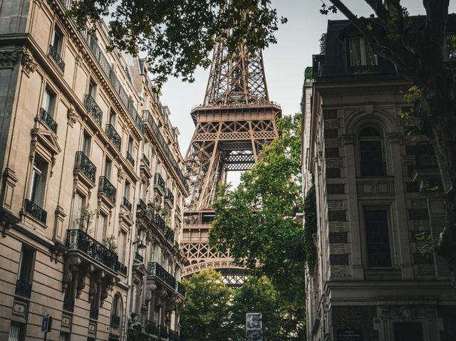 The Eiffel Tower in Paris! 🇫🇷✨