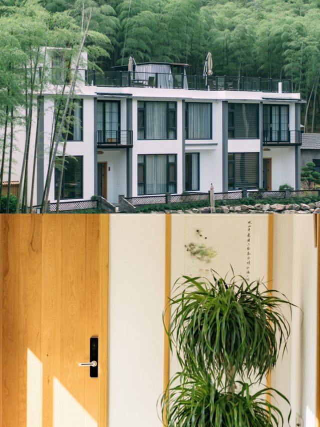 挖到寶了！在梵隱民宿的這趟旅行，簡直身心進入了大自然
