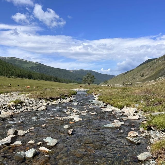 新疆北疆，七天六晚旅遊攻略，預算7000元，讓你開心又省心