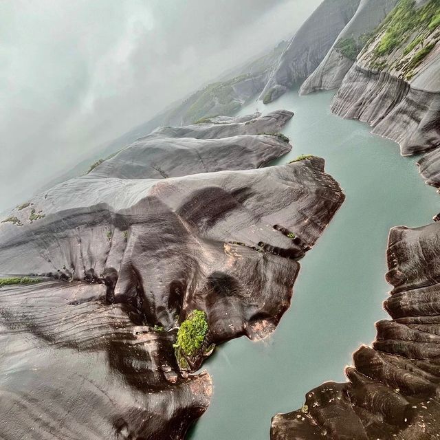 雲霧秘境莽山遊