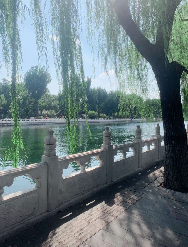 下個月的北京，即將迎來顏值巔峰！這份賞秋攻略請收好，帶你邂逅