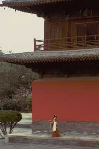 石家莊開元寺拍照遊玩攻略。