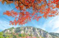 探秘臨朐絕美紅葉山莊