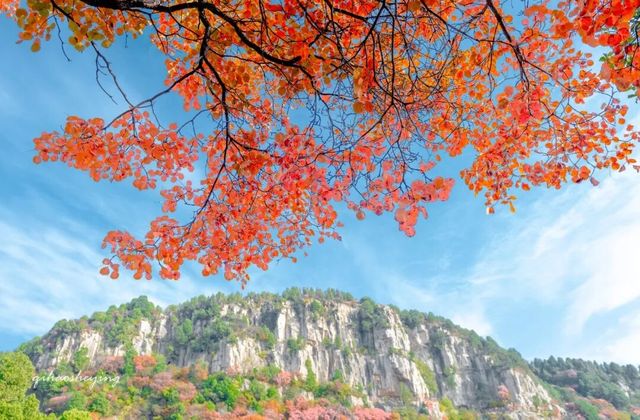 探秘臨朐絕美紅葉山莊
