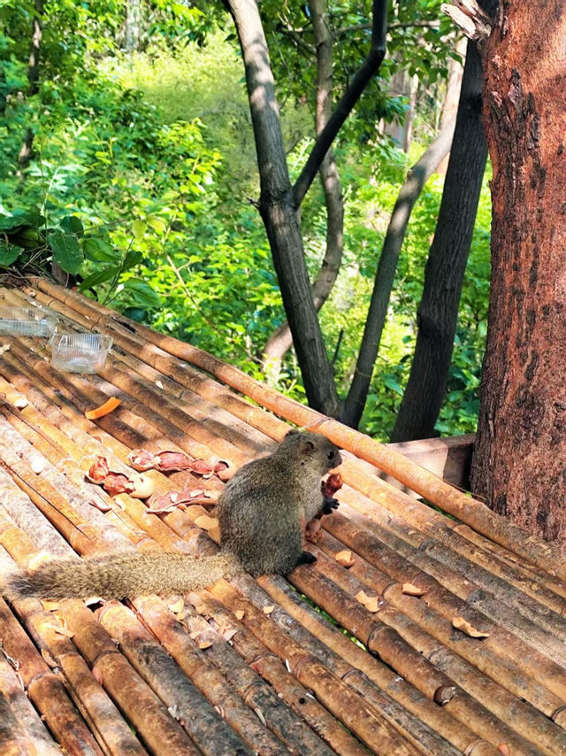 滇東秘境!曲靖深秋隱藏玩法上線,山水文化一鍵全含! 滇東秘境!曲靖深秋隱藏玩法上線,山水文化一鍵全含!
