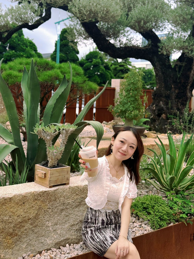 佛山綠洲🌵地中海荒野秘境咖啡店☕️
