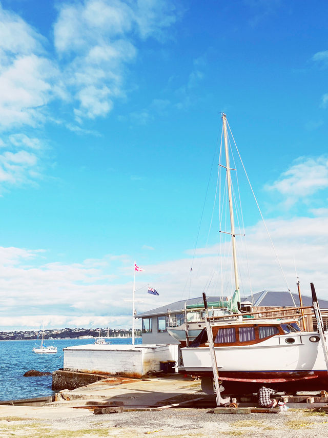 ⛵️ Devonport opposite Harbour: Auckland's Nautical Paradise in the timeless soul❤️! 🌊