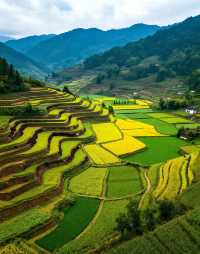 江西的田園烏托邦|是逃離城市喧囂、擁抱山野慢生活的小眾寶藏地