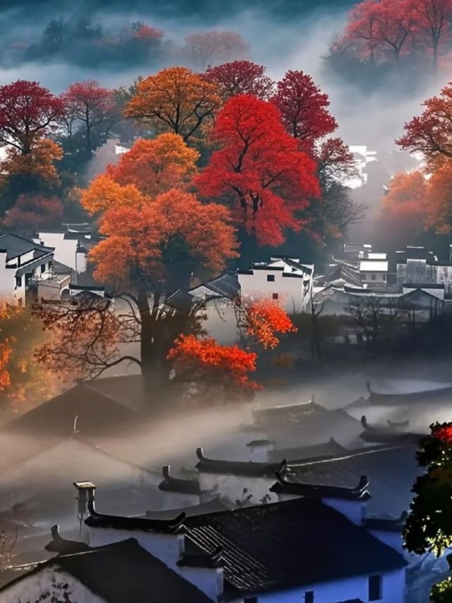 婺源三日漫遊記｜古村曬秋，梯田紅楓，小眾秘境