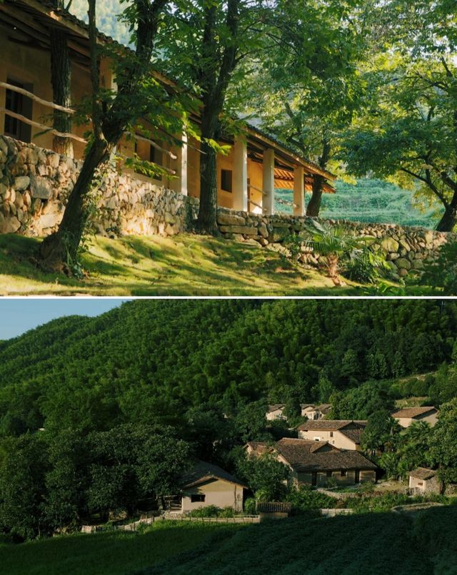 雙十一必囤！審美在線的西坡山鄉系列民宿