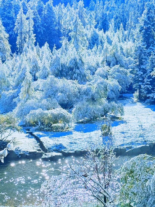 畢棚溝闖入初雪後的琉璃仙境