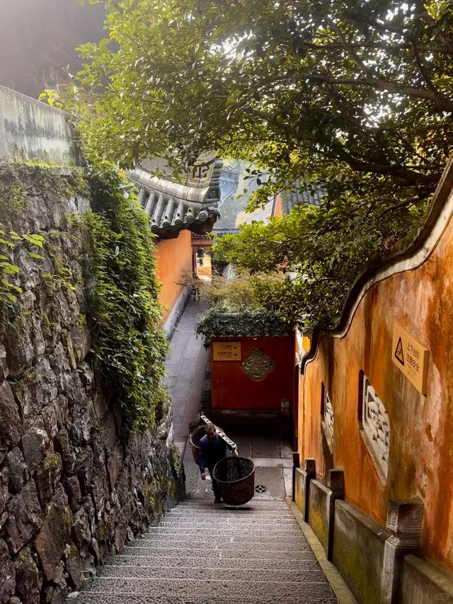 0元解鎖天台秋日封神機位！2天1晚穿越隋塔+瀑布+彩林