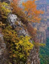 金秋京畿自駕遊|登頂靈山,邂逅北京屋脊的絕美秋色