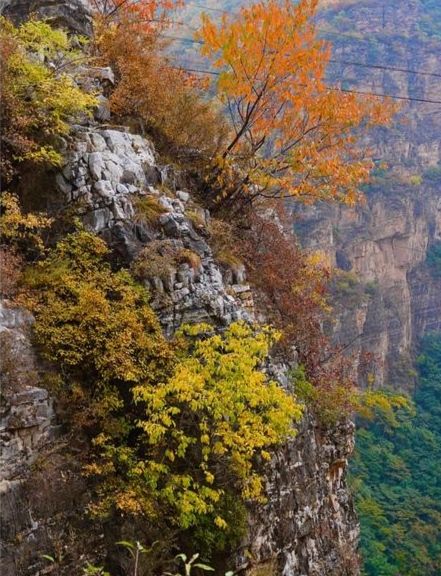 金秋京畿自駕遊|登頂靈山,邂逅北京屋脊的絕美秋色 金秋京畿自駕遊|登頂靈山,邂逅北京屋脊的絕美秋色