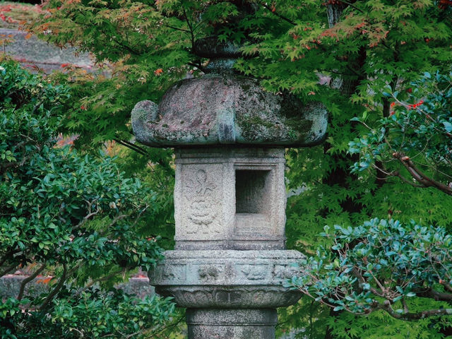 Solo in the Shogun's Garden: A Day at Nijo Castle, Kyoto