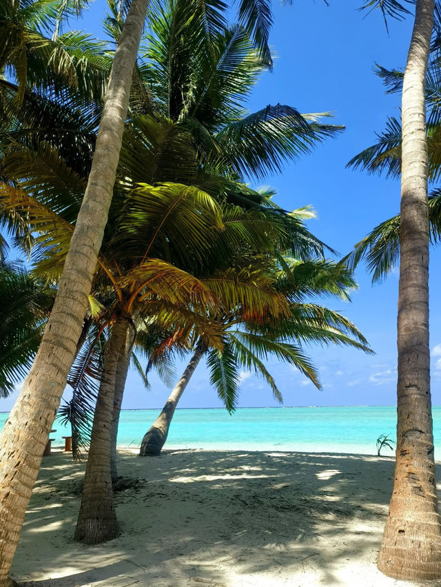 馬爾代夫夢幻海島之旅,7天6晚承包你的碧海藍天! 在這裡每一天都是透明的藍色,光是躺在吊床上看海 馬爾代夫夢幻海島之旅,7天6晚承包你的碧海藍天! 在這裡每一天都是透明的藍色,光是躺在吊床上看海