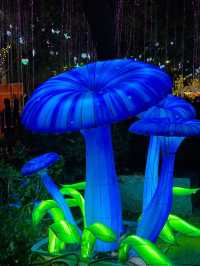 廈門夜遊頂流！園博苑花燈每週末限定浪漫