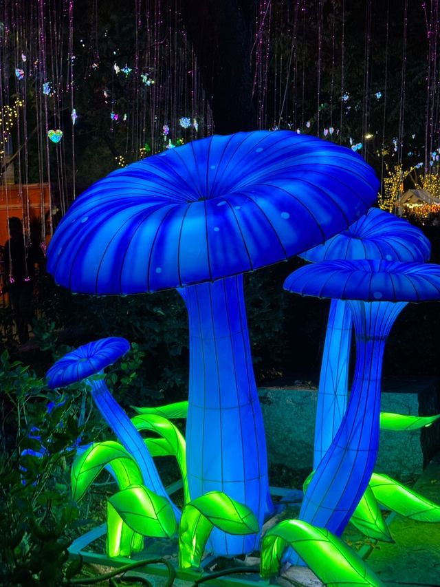 廈門夜遊頂流！園博苑花燈每週末限定浪漫