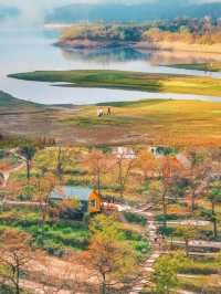 這是每年秋天我都會去一次的賞秋路線，武漢2h！