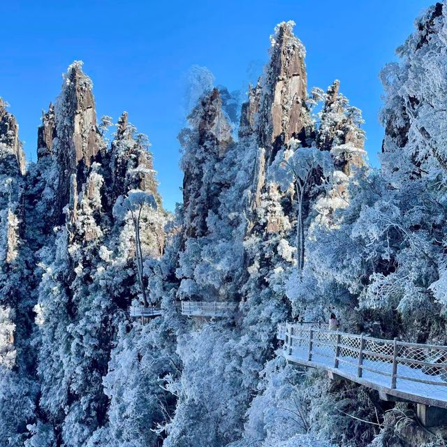 標題｜廣深1.5h閃現「冰雪莽山」#電梯直達雪山